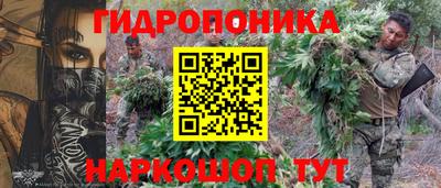 дмт Севастополь