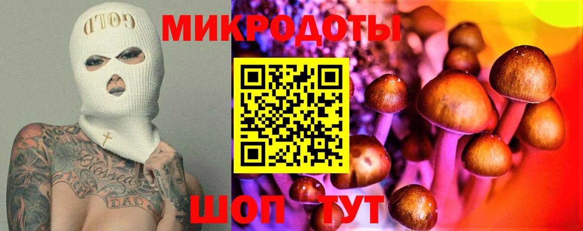 Псков  Галлюциногенные грибы Psilocybe  Вход с VPN 